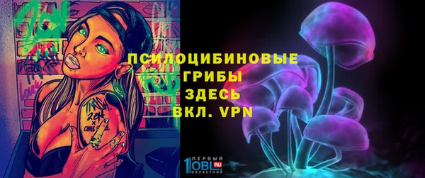 прущие грибы Алексеевка