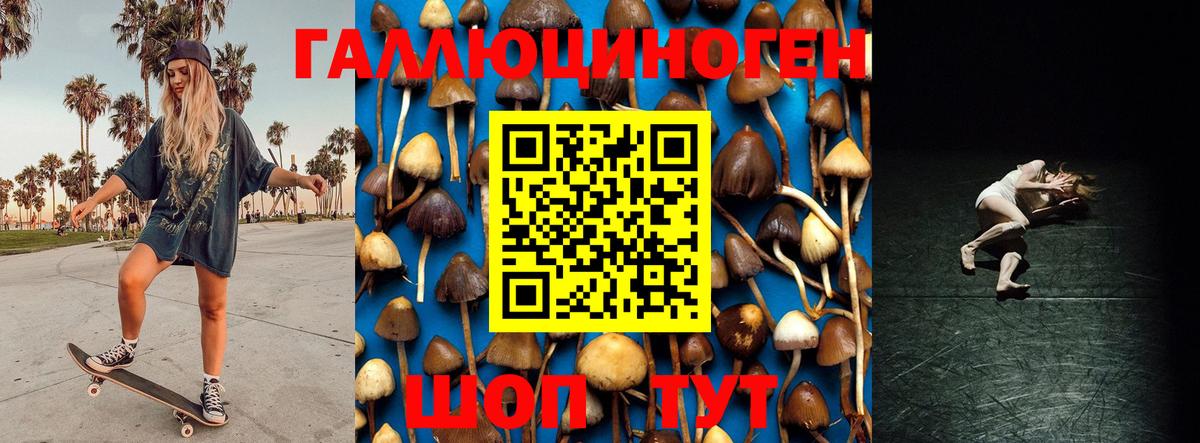 Галлюциногенные грибы Psilocybe  Вход с VPN  Галлюциногенные грибы GOLDEN TEACHER  Ишим 