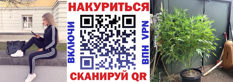Шишки марихуана White Widow  закладки  блэк спрут ссылки  Ишим 